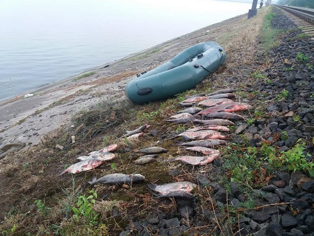 67729843_1087868414742372_583375748434231296_n