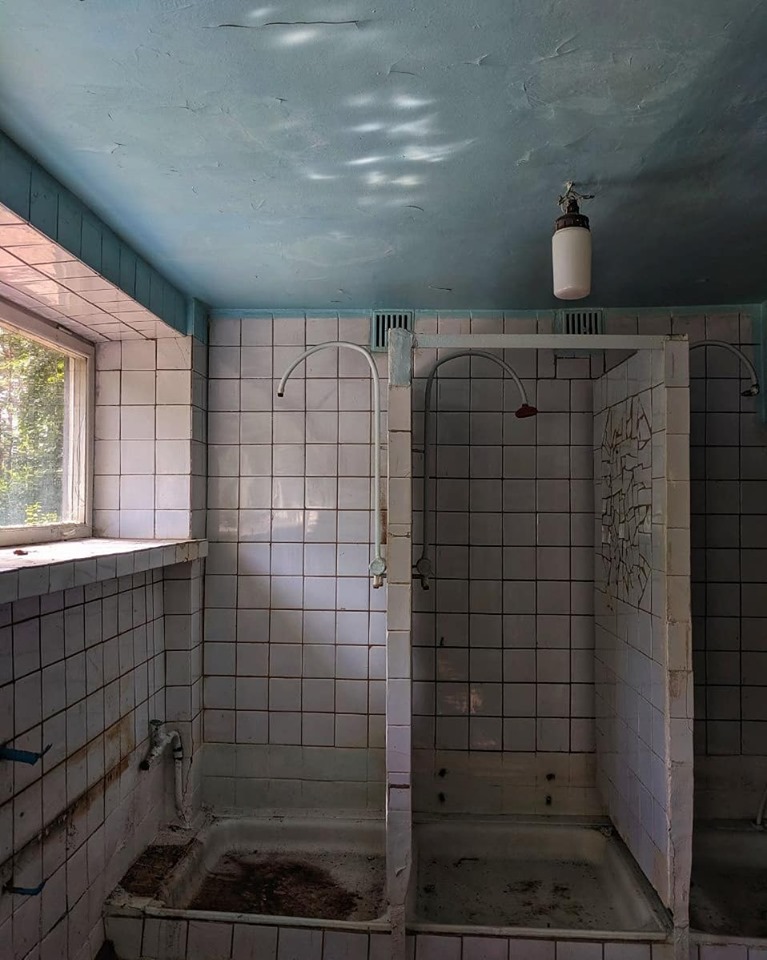 67831976_2536655163066236_5840922408915042304_n