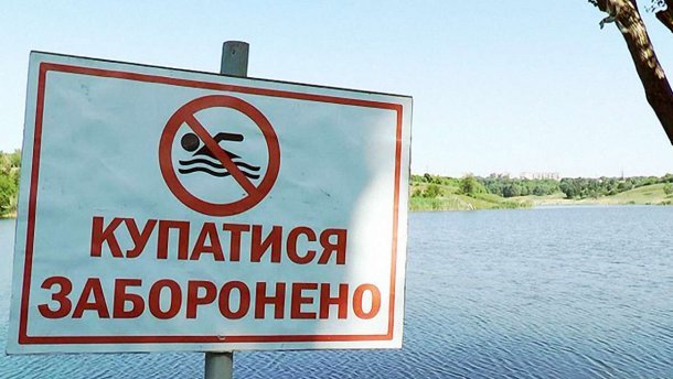 68316430_795050484225057_9107038604214927360_n