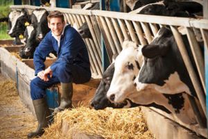 rabotnik-na-fermu-v-estoniyu-photo-0667