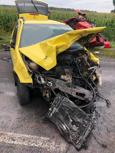 67882668_881187688917744_1172940398713110528_n