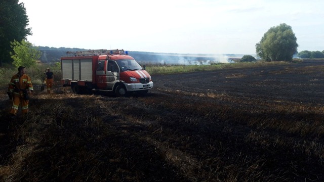 67600671_697885637325598_8035853797584535552_n