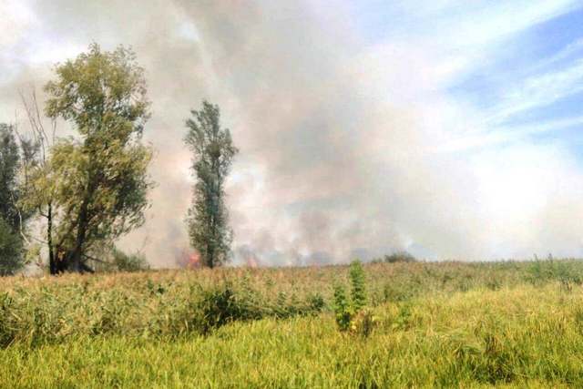 69545347_2222687947841436_722477489904943104_n