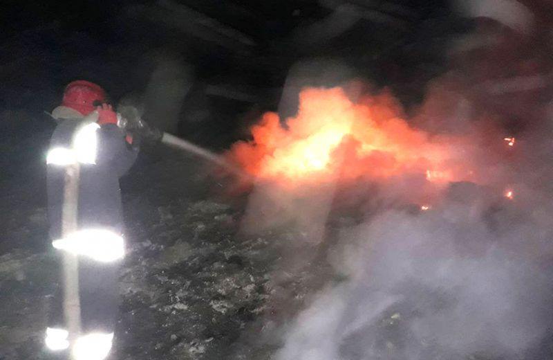 68361973_1307664106070164_8077844275498319872_n