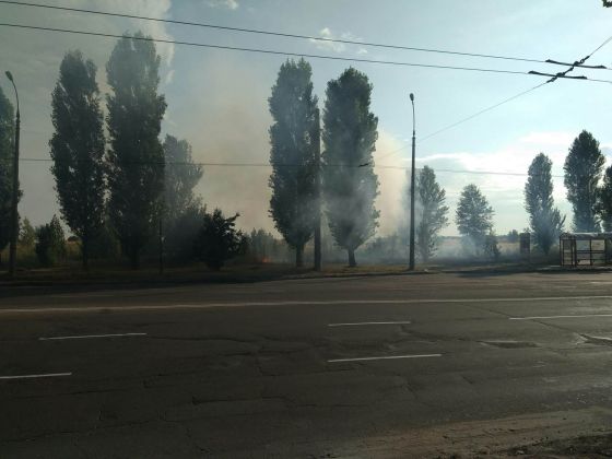 67349772_1350193385153842_5040567506847137792_n