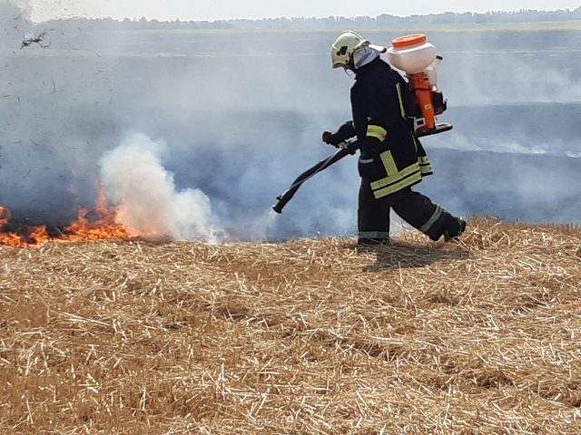 IMG-c01cfb1276e850a050e2b8594c45783e-V