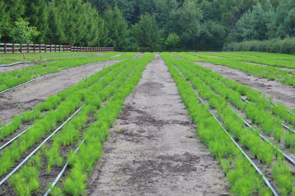 68961891_2499619870076494_3168550154835853312_n-e1566456995911