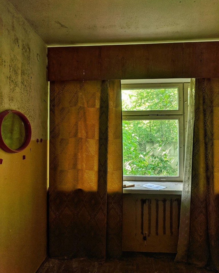 67931468_2536655026399583_6422700674328297472_n