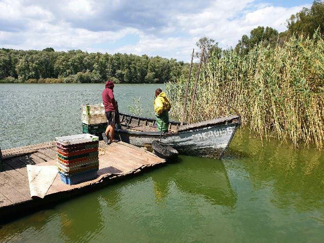 photo_2019-07-12_14-25-18