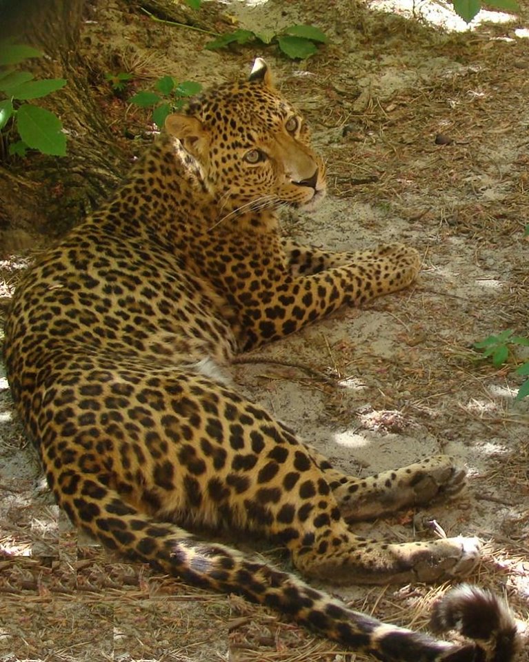 67966536_639659433192658_1037229117310763008_n