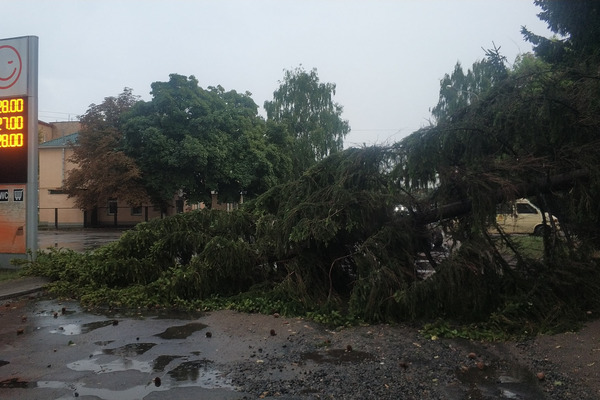 6874299822975689636261161695312669352919040o