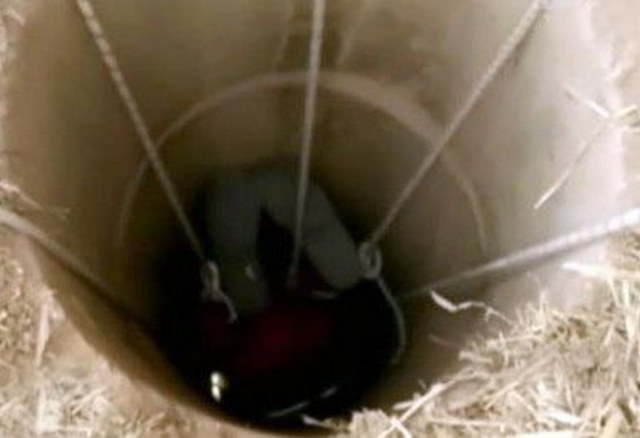 69072278_1429722273832652_2948082001699143680_n