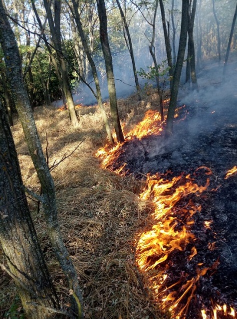 68720915_2612328418818616_5517900985189531648_n-1