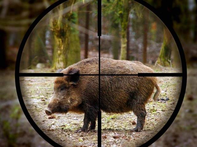 kaban_b3f42_6285f93e5ba6d29799b4524ee4a420d7_b3f42_resize_free_850_0