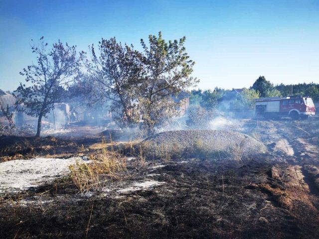 118703390_3286955791341039_18306023797546581_o