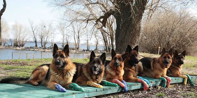 118194514_2569218596722751_5558976915690851574_n