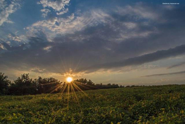 14053836_651773541658334_957863312939665424_o