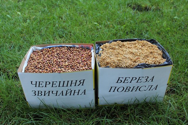 118174082_648383902455593_3697357607521570566_o