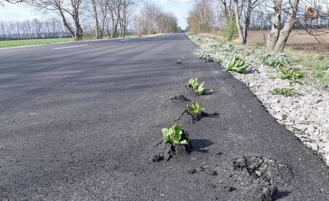 118581479_3371055262916861_2849237425386326031_n