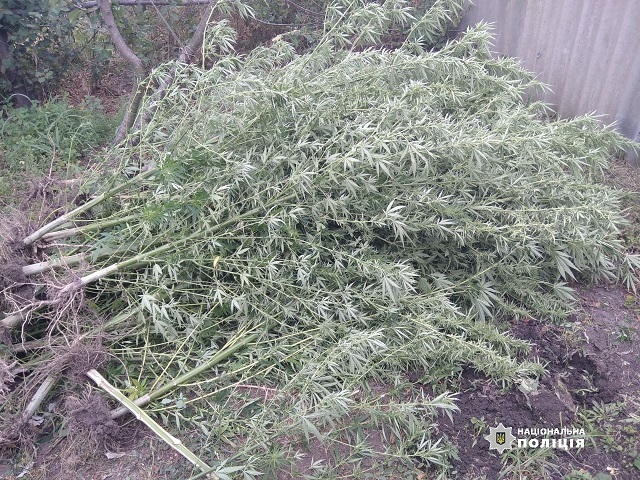 117797283_931681357317398_7012611213871985836_o