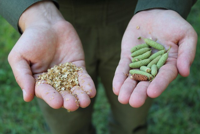 118348435_648383889122261_6884831053650051338_o