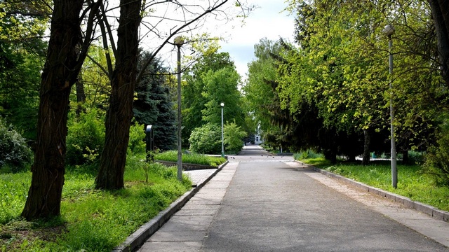 7X981ZgeMZ2VLBpl7HAT