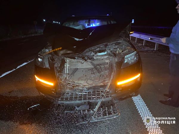 117817569_938343683317832_8311272088039090222_o