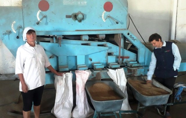 У період збору урожаю безробітні працевлаштовуються на фермерських господарствах