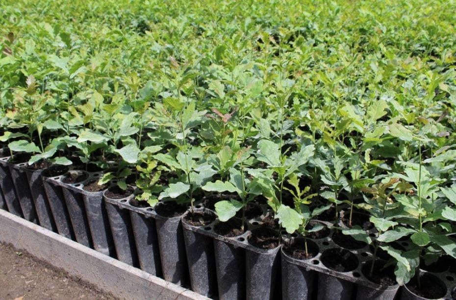 235794029_864185957542052_8692814473569961546_n