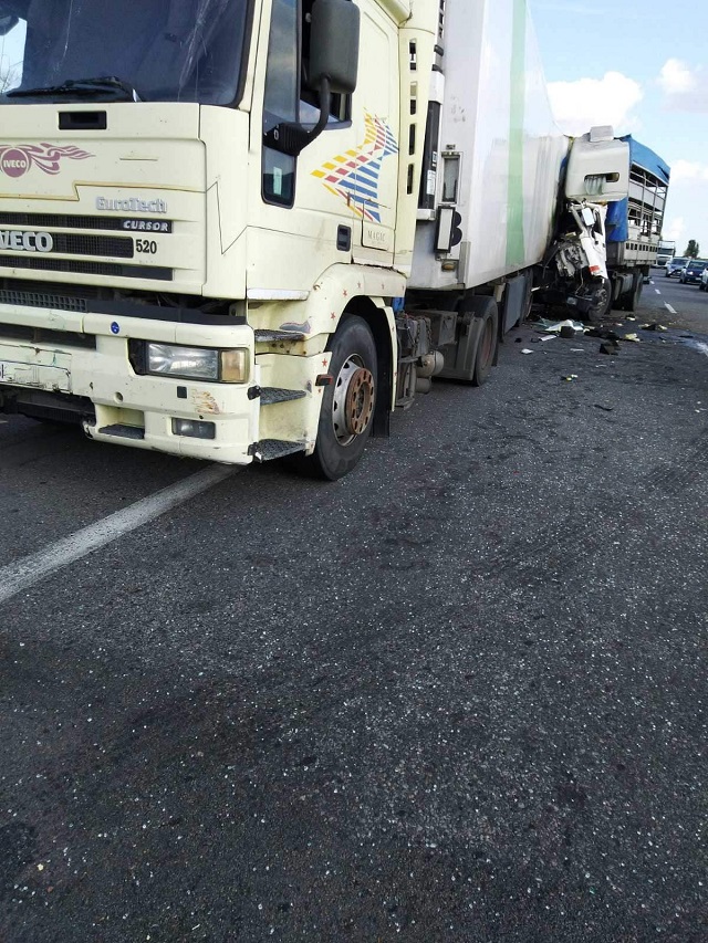 240816023_6038049092934101_1960396211232563798_n