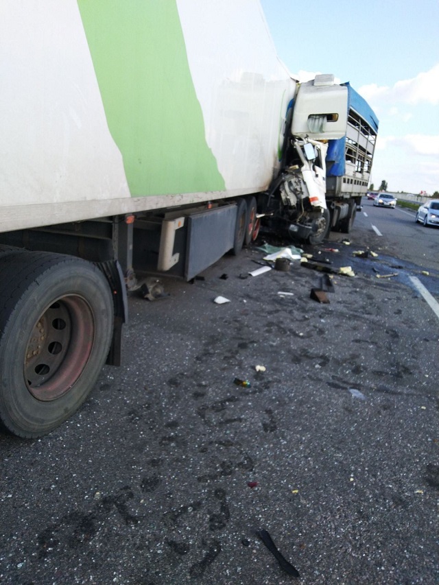 240798158_6038049576267386_8943465834689879521_n