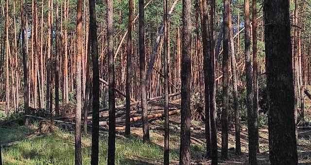 зображення_viber_2021-08-09_14-25-08-015