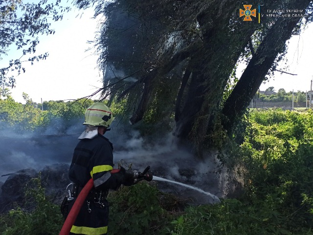 IMG-c02401a112c6c9365132f450c46c524c-V