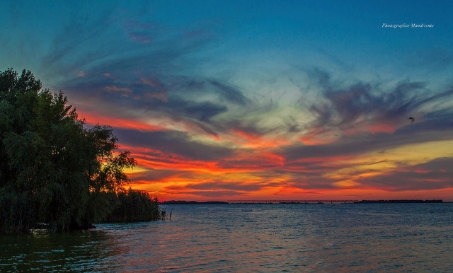 117382250_1601469656688713_6988169296965020133_n