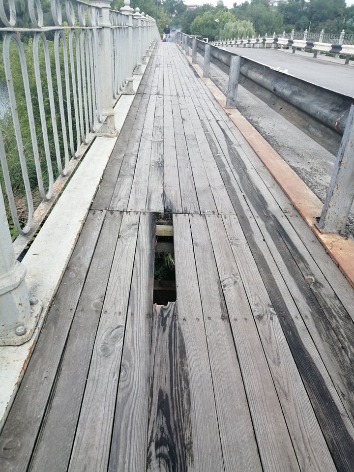 240781799_443272716850246_61369613106260959_n