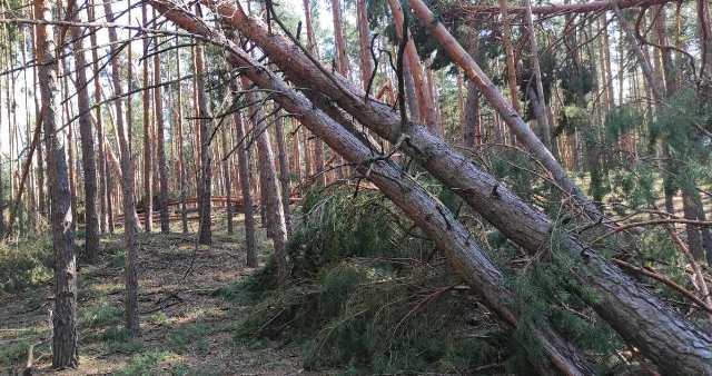 зображення_viber_2021-08-09_14-25-03-351