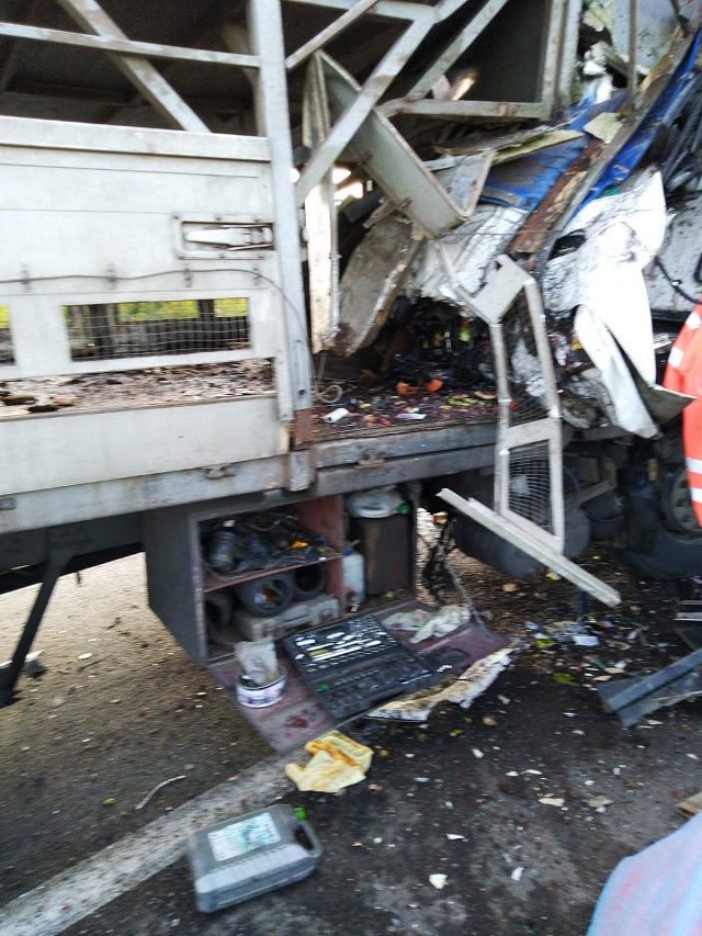 240812986_6038049659600711_5589433290341428080_n