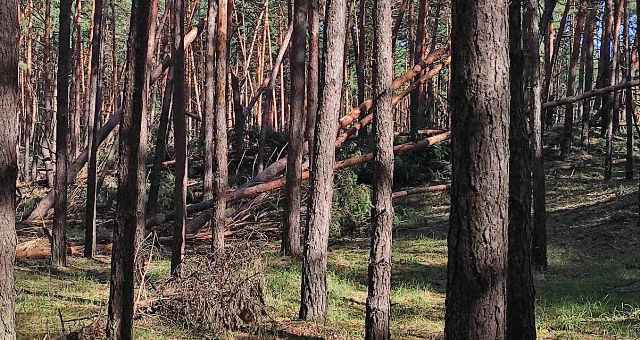 зображення_viber_2021-08-09_14-25-00-184