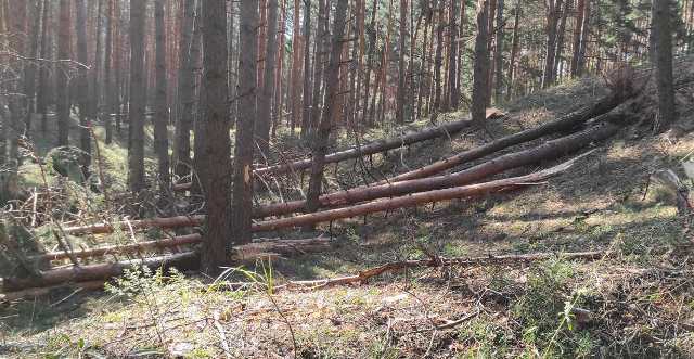 зображення_viber_2021-08-09_14-25-02-255