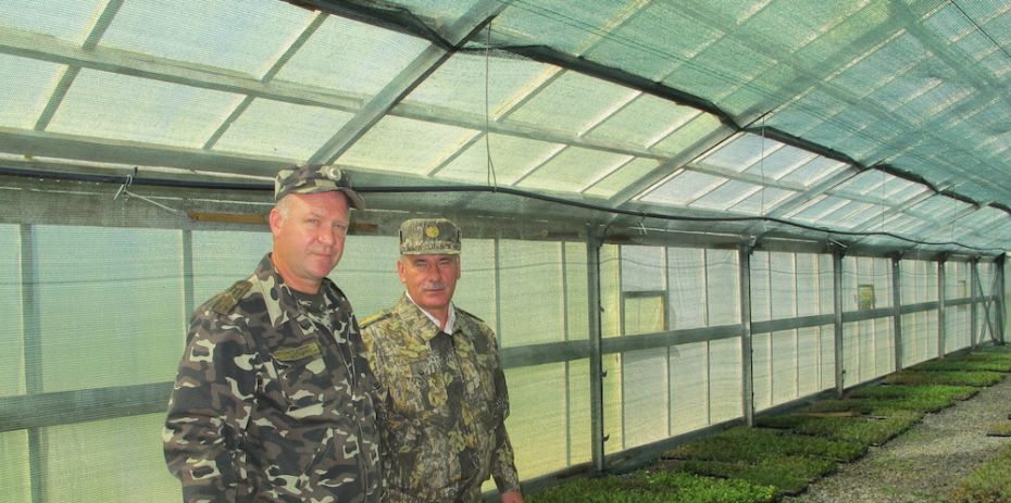 Директор лiсгоспу Iван Назаревич (справа) та лiсничий Петро Шевчук