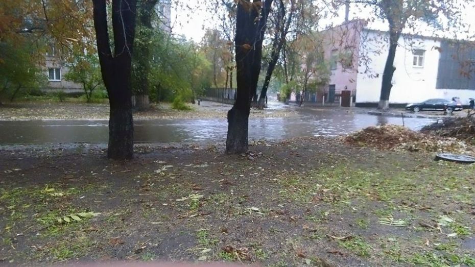 14702257_915181928588466_6641896784238965148_n