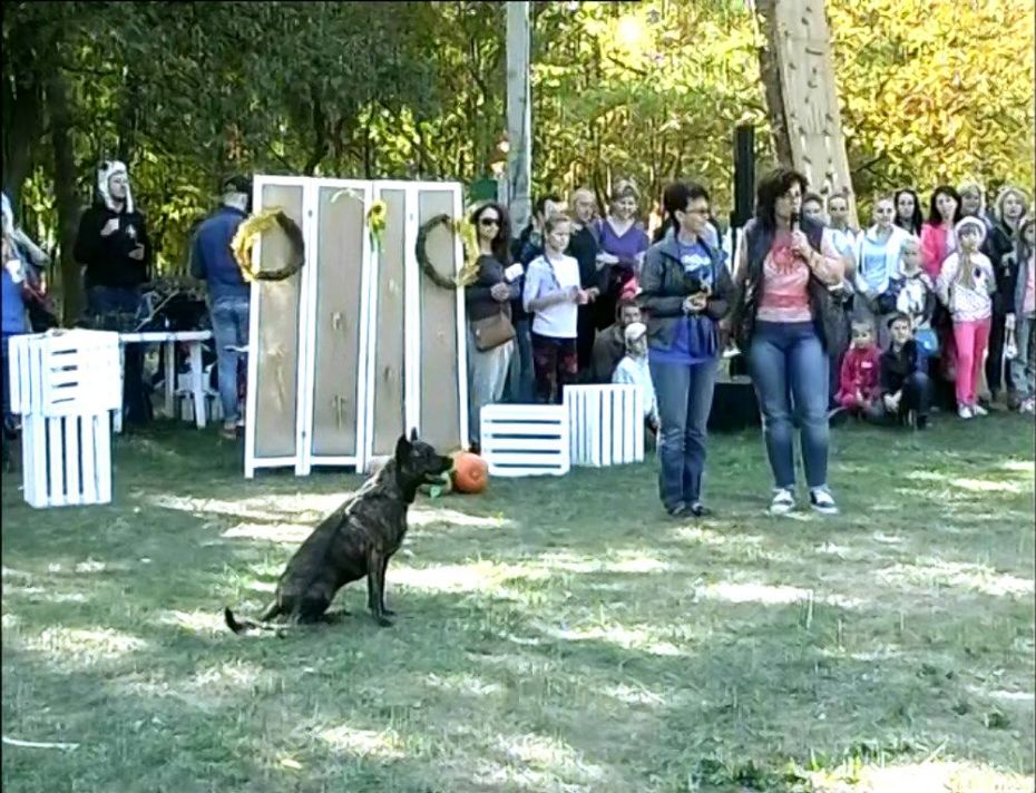 14524501_1090015184378966_2622234255155274082_o