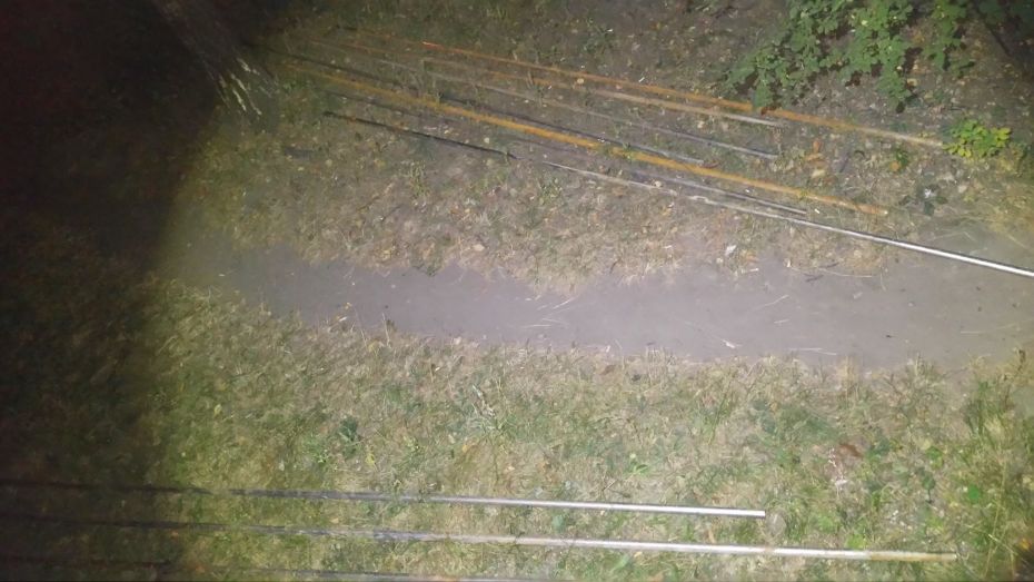 14424835_1660719914258048_9133769925291683165_o