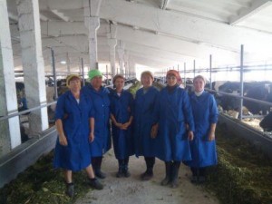 доярки1-300x225