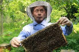 22092016113422771372