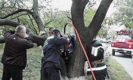 14355023_739324636205756_9165570898847648821_n