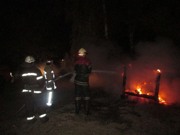 Изображение 004