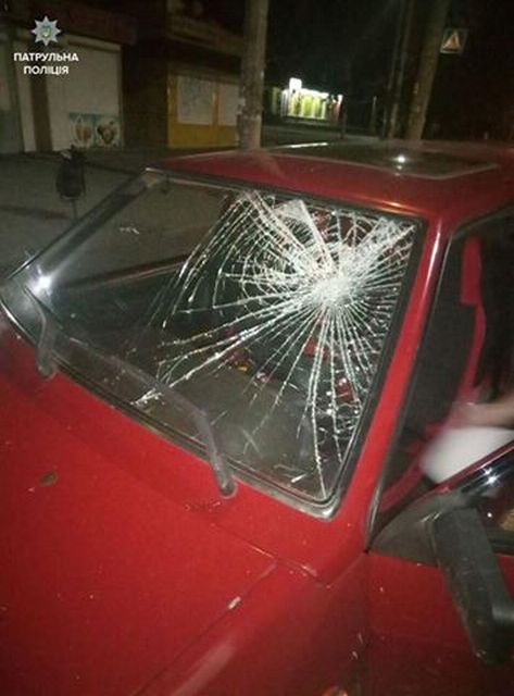 22007634_1483491095062295_33148865012004274_n