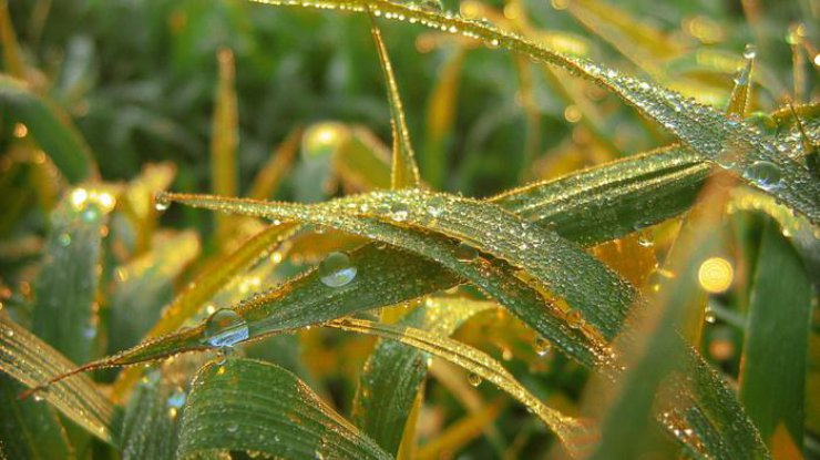 pogoda-na-7-sentjabrja-v-ukrainu-idet-poholodanie_rect_6a701fc4ed253e4c010f23196d13b2ca