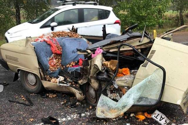 42745710_1180878522050363_2153829810072190976_n